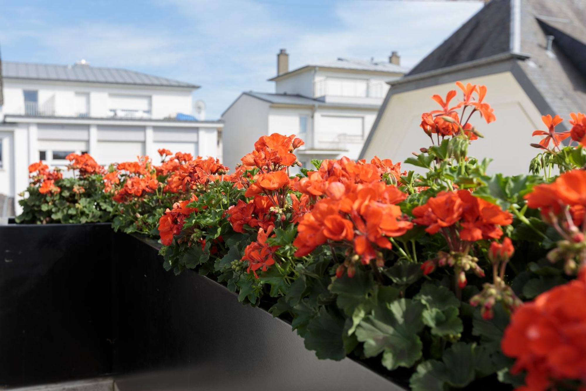 The Queen Luxury Apartments - Villa Vinicia Luxembourg Bagian luar foto